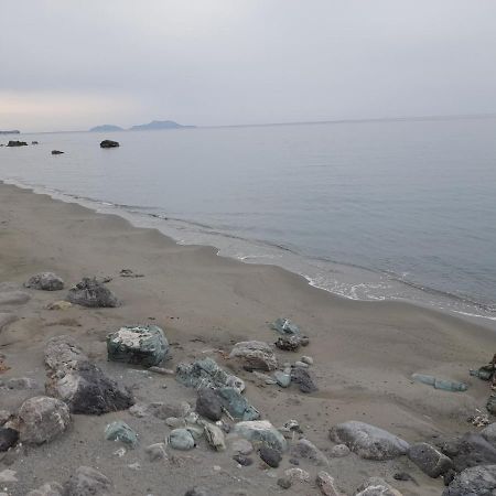 Villa Sissy Agia Paraskevi  Bagian luar foto